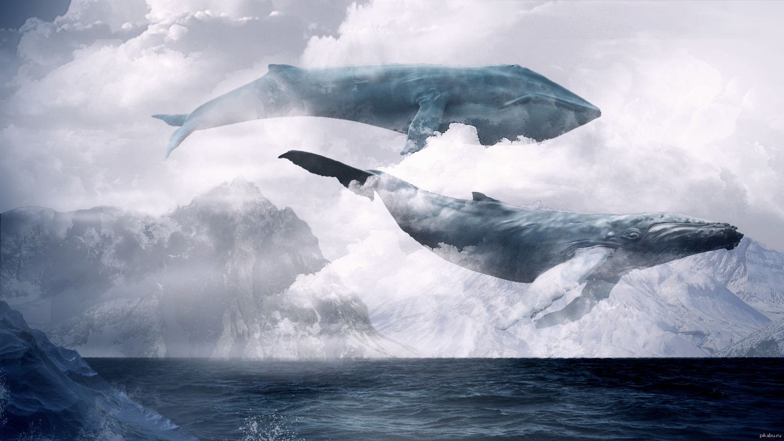 синий кит море небо бесплатно
